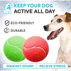 Pacific Pups Rescue Ball Dog Toy Variety Pack, 6 Count 13 Pacific Pups Rescue Ball Dog Toy Variety Pack, 6 Count -Pet Dog Supply Store 532326 PT2. AC SS1800 V1692805971