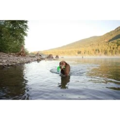 Chuckit! Amphibious Boomerang Dog Toy, Color Varies -Pet Dog Supply Store 53241 PT3. AC SS1800 V1510778334