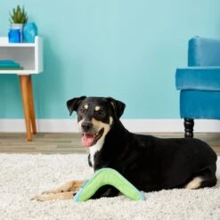 Chuckit! Amphibious Boomerang Dog Toy, Color Varies -Pet Dog Supply Store 53241 PT8. AC SS1800 V1510778346