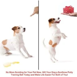 SunGrow Hanging & Communication Tool Dog & Cat Training Potty Doorbell, 34-in -Pet Dog Supply Store 533950 PT3. AC SS1800 V1657658635