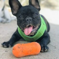 Ruff Dawg Peanut Treat Dispenser Dog Toy, Color Varies 9 Ruff Dawg Peanut Treat Dispenser Dog Toy, Color Varies -Pet Dog Supply Store 53810 PT2. AC SS1800 V1602300361