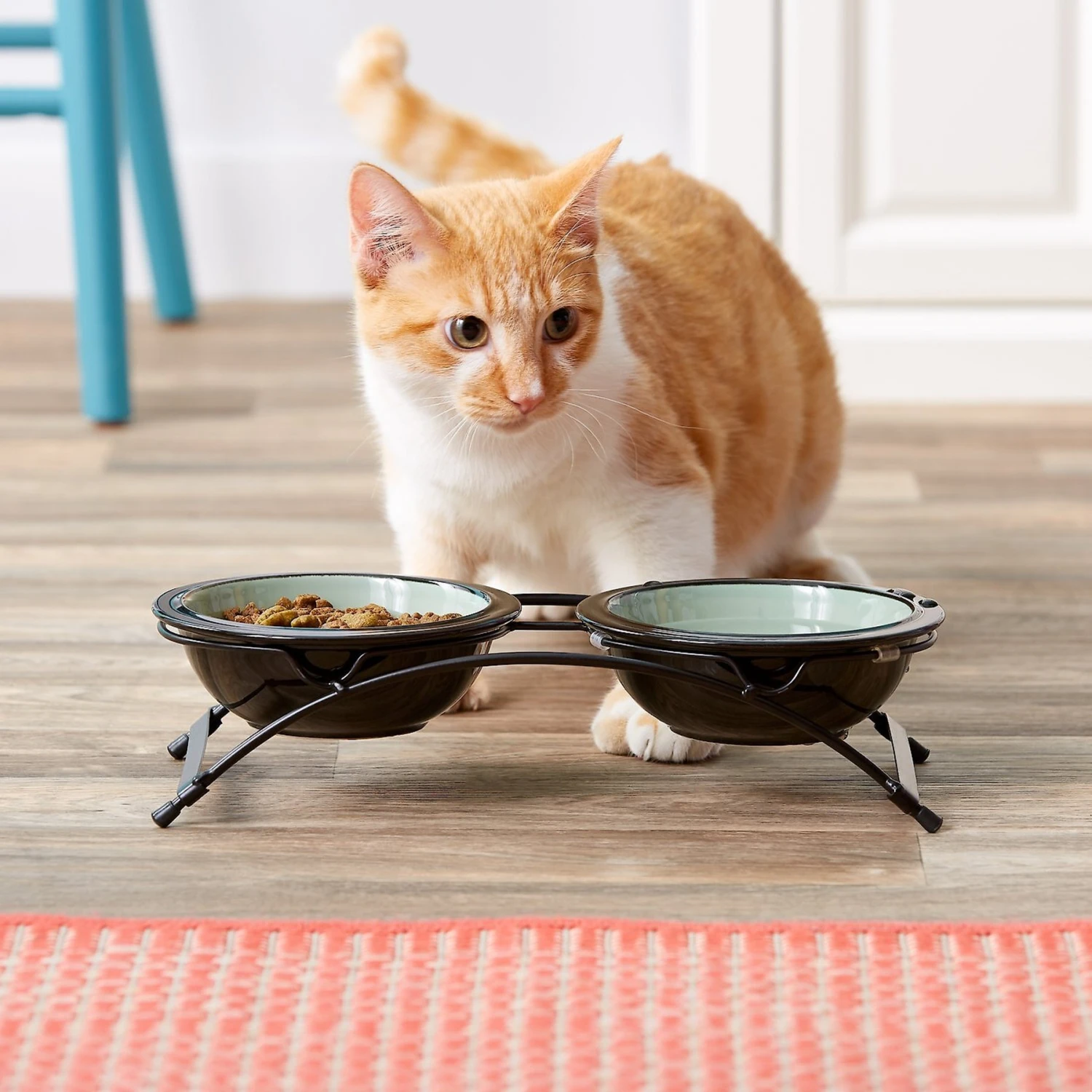 PetRageous Designs Buddy's Best Double Diner Elevated Dog & Cat Bowls 4 PetRageous Designs Buddy's Best Double Diner Elevated Dog & Cat Bowls - Image 2