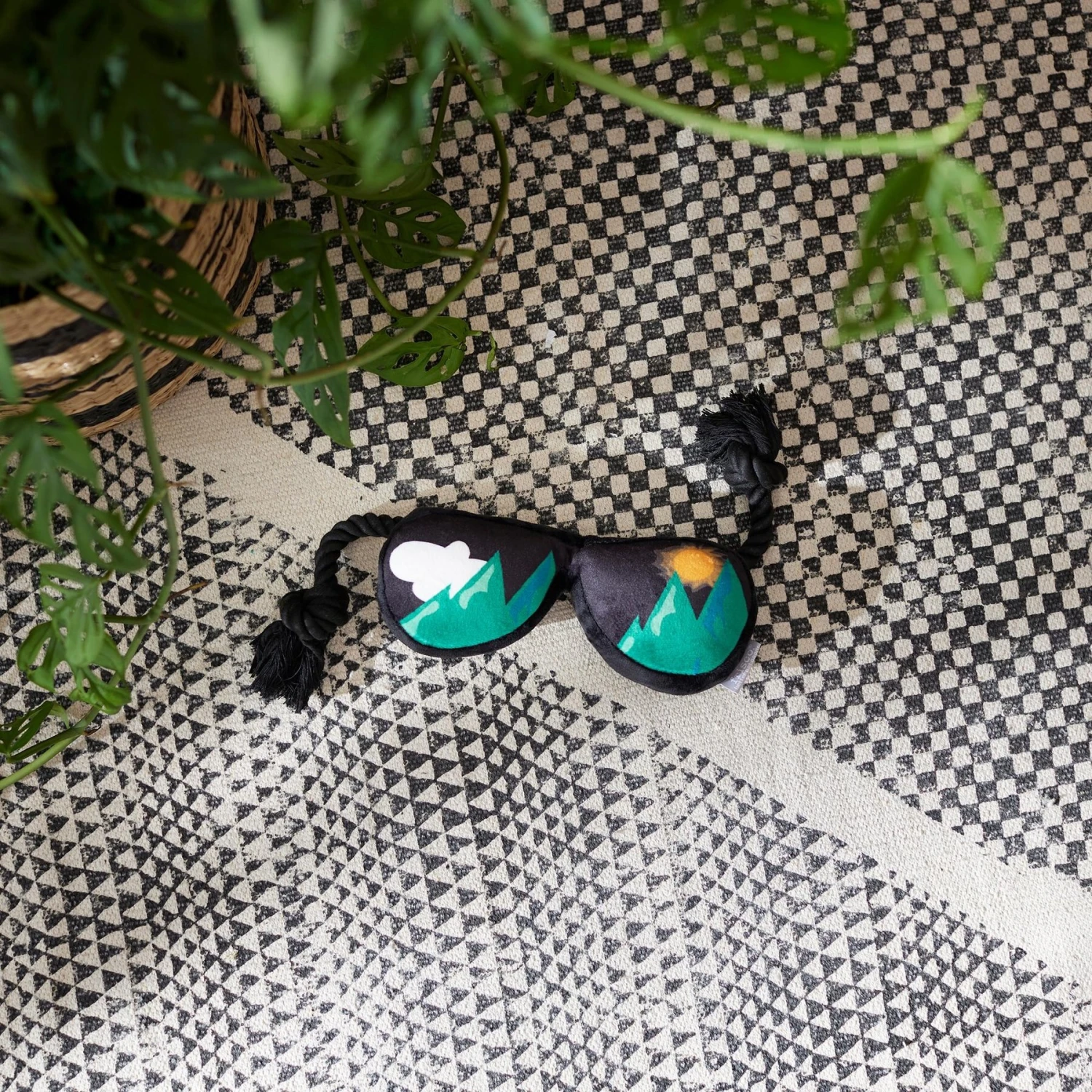 Goody Box Adventure Toys & Treats For Dogs 6 Goody Box Adventure Toys & Treats For Dogs - Image 4