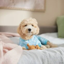 Frisco Blue Ocean Waves Dog & Cat Jersey PJs -Pet Dog Supply Store 556142 PT5. AC SS1800 V1674828705