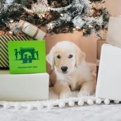 Benebone Multipack Durable Dog Chew Toy, 4 Count 14 Benebone Multipack Durable Dog Chew Toy, 4 Count -Pet Dog Supply Store 571878 PT5. AC SS1800 V1672433006