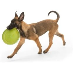 West Paw Zogoflex Zisc Flying Disc Dog Toy -Pet Dog Supply Store 58046 PT2. AC SS1800 V1629321107