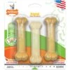 Nylabone FlexiChew Moderate Dog Chew Toys Triple Pack Variety -Pet Dog Supply Store 59243 MAIN. AC SS1800 V1685642466