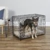 MidWest ICrate Fold & Carry Double Door Collapsible Wire Dog Crate -Pet Dog Supply Store 60384 MAIN. AC SS1800 V1647555161