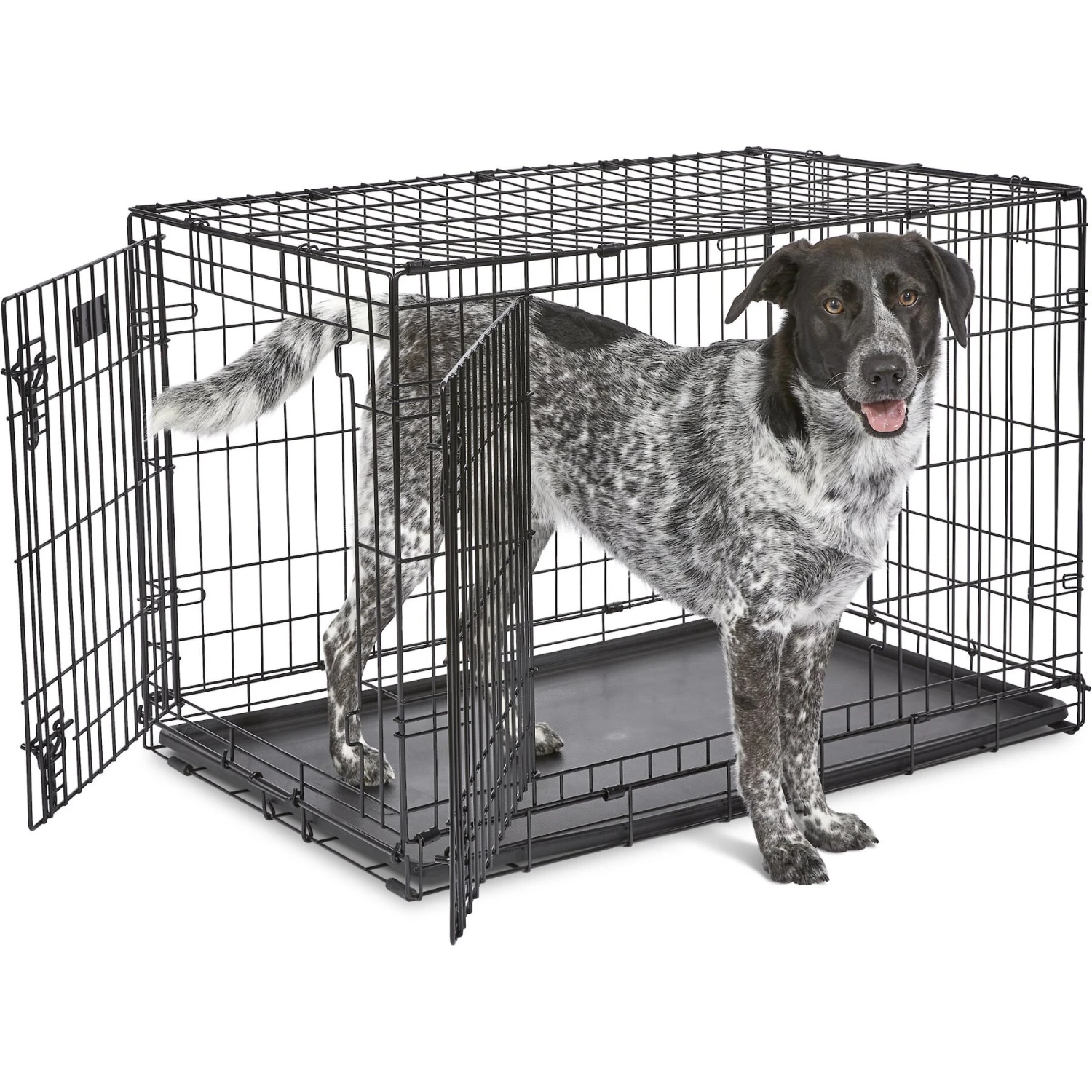 MidWest ICrate Fold & Carry Double Door Collapsible Wire Dog Crate 4 MidWest ICrate Fold & Carry Double Door Collapsible Wire Dog Crate - Image 2
