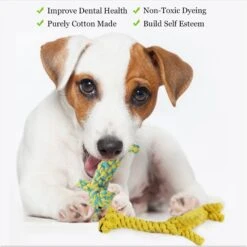 SunGrow Aggressive Chewers Small Dog & Cat Tug Of War Rope & Chase Teething Toys, 2 Count -Pet Dog Supply Store 604518 PT4. AC SS1800 V1697054916