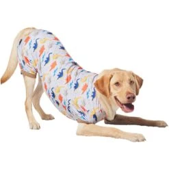 Frisco Dinosaur Dog & Cat Jersey PJs -Pet Dog Supply Store 609062 PT4. AC SS1800 V1681488688