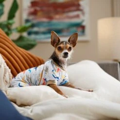 Frisco Dinosaur Dog & Cat Jersey PJs -Pet Dog Supply Store 609062 PT6. AC SS1800 V1676643314