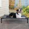 K&H Pet Products Original Pet Cot Elevated Dog Bed 1 K&H Pet Products Original Pet Cot Elevated Dog Bed -Pet Dog Supply Store 611958 MAIN. AC SS1800 V1696351195