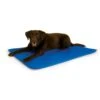 K&H Pet Products Cool Bed III Dog Pad 2 K&H Pet Products Cool Bed III Dog Pad -Pet Dog Supply Store 61443 MAIN. AC SS1800 V1627941385