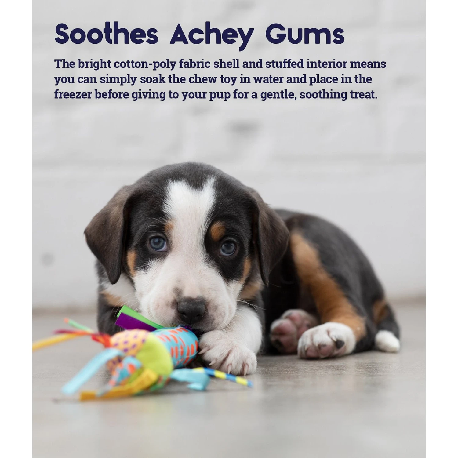 Petstages Cool Teething Stick Tough Dog Chew Toy 5 Petstages Cool Teething Stick Tough Dog Chew Toy - Image 3