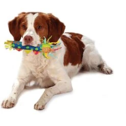 Petstages Cool Teething Stick Tough Dog Chew Toy 14 Petstages Cool Teething Stick Tough Dog Chew Toy -Pet Dog Supply Store 61991 PT5. AC SS1800 V1636506099