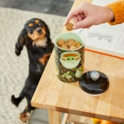 STAR WARS THE MANDALORIAN THE CHILD Aurebesh Ceramic Treat Jar & STAR WARS THE MANDALORIAN GROGU AUREBESH Non-Skid Stainless Steel With Melamine Stand Dog & Cat Bowl -Pet Dog Supply Store 623382 PT3. AC SS1800 V1661896215