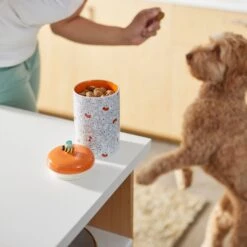 Disney Table Scraps Winnie The Pooh Organic Honey Roasted Turkey Recipe Dog Treats, 5-oz Bag & Disney Winnie The Pooh Orange Ceramic Dog & Cat Treat Jar -Pet Dog Supply Store 623486 PT8. AC SS1800 V1662040078