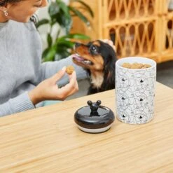 Disney Table Scraps Mickey Mouse Hot Diggity Dog Recipe Upcycled Jerky Dog Treats, 5-oz Bag & Disney Mickey Lines Ceramic Treat Jar -Pet Dog Supply Store 623494 PT7. AC SS1800 V1661896454