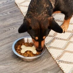 Loving Pets Gobble Stopper Slow Feeder -Pet Dog Supply Store 62388 PT1. AC SS1800 V1545319728