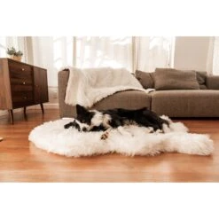 PawBrands PupRug Faux Fur Orthopedic Dog Bed -Pet Dog Supply Store 625222 PT4. AC SS1800 V1661275441