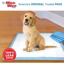 Wee-Wee Little Dog Pee Pads 16.5 X 23.5-in 14 Wee-Wee Little Dog Pee Pads 16.5 X 23.5-in -Pet Dog Supply Store 62531 PT3. AC SS1800 V1621373899