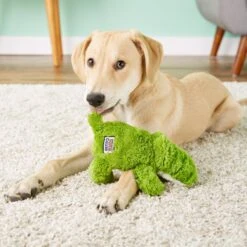 KONG Cozie Ali The Alligator Dog Toy 9 KONG Cozie Ali The Alligator Dog Toy -Pet Dog Supply Store 62763 PT2. AC SS1800 V1531425164