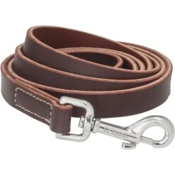 Frisco Top Grain Leather Leash + 4 Items 14 Frisco Top Grain Leather Leash + 4 Items -Pet Dog Supply Store 630958 PT3. AC SS1800 V1662739527