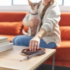 Frisco Top Grain Leather Leash + 4 Items 15 Frisco Top Grain Leather Leash + 4 Items -Pet Dog Supply Store 630958 PT4. AC SS1800 V1662742186