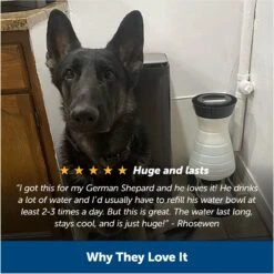 PetSafe Healthy Gravity Refill Dog & Cat Waterer -Pet Dog Supply Store 63119 PT5. AC SS1800 V1676398827