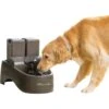 PetSafe Drinkwell Outdoor Plastic Dog & Cat Fountain 1 PetSafe Drinkwell Outdoor Plastic Dog & Cat Fountain -Pet Dog Supply Store 63126 MAIN. AC SS1800 V1597184167