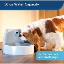 PetSafe Drinkwell Original Plastic Dog & Cat Fountain 12 PetSafe Drinkwell Original Plastic Dog & Cat Fountain -Pet Dog Supply Store 63136 PT3. AC SS1800 V1590605522
