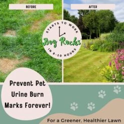Dog Rocks Grass & Lawn Saver Dog Urine Burn Patch Protection -Pet Dog Supply Store 63233 PT2. AC SS1800 V1679931912