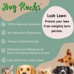 Dog Rocks Grass & Lawn Saver Dog Urine Burn Patch Protection -Pet Dog Supply Store 63233 PT5. AC SS1800 V1679931072
