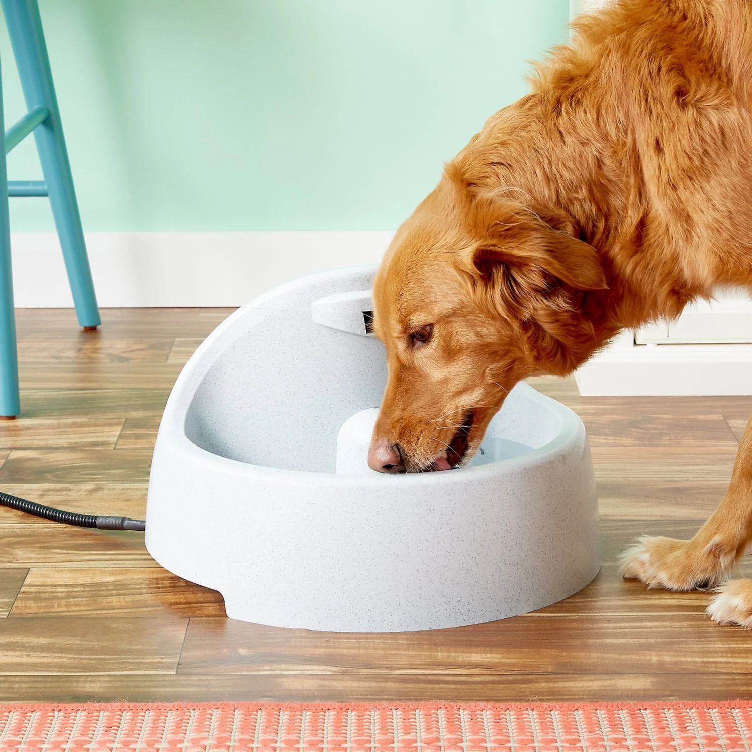 PetSafe Drinkwell Everflow Plastic Dog & Cat Fountain 5 PetSafe Drinkwell Everflow Plastic Dog & Cat Fountain - Image 3