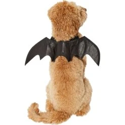 Frisco Bat Wings Dog & Cat Costume & Buckle-Down Batman Shield Polyester Dog Collar 14 Frisco Bat Wings Dog & Cat Costume & Buckle-Down Batman Shield Polyester Dog Collar -Pet Dog Supply Store 638566 PT3. AC SS1800 V1663254451