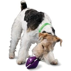 PetSafe Busy Buddy Twist 'n Treat Treat Dispenser Dog Toy -Pet Dog Supply Store 63858 PT2. AC SS1800 V1602333064
