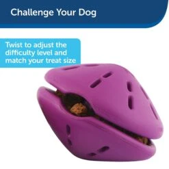 PetSafe Busy Buddy Twist 'n Treat Treat Dispenser Dog Toy -Pet Dog Supply Store 63858 PT6. AC SS1800 V1602338761