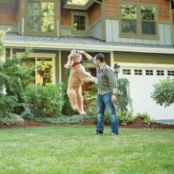 PetSafe Wireless Containment System -Pet Dog Supply Store 63890 PT7. AC SS1800 V1523992022