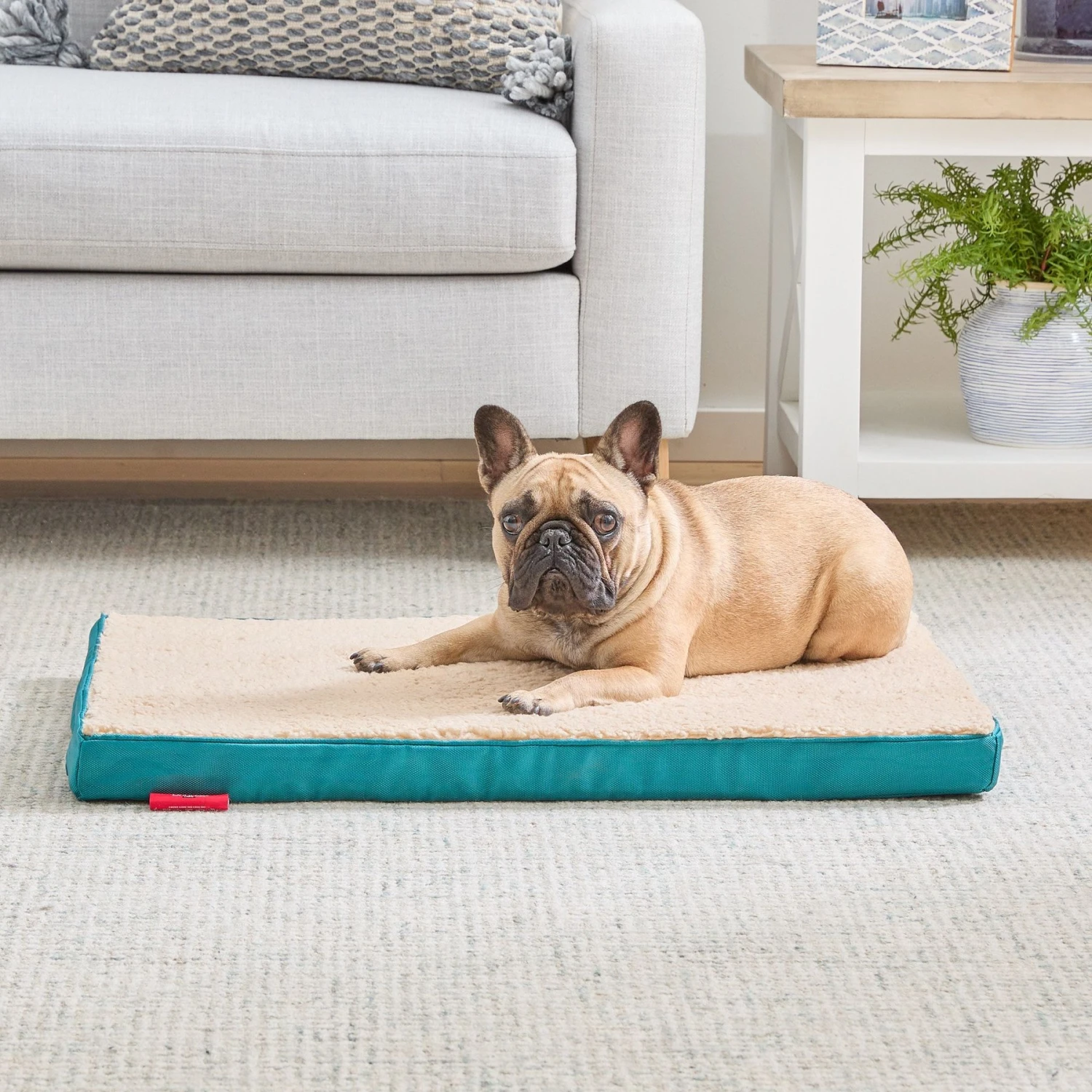 Brindle 2-in Orthopedic With Machine Washable Cover Dog & Cat Bed 5 Brindle 2-in Orthopedic With Machine Washable Cover Dog & Cat Bed - Image 3