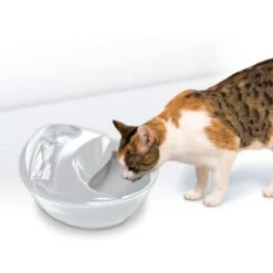 Pioneer Pet Raindrop Ceramic Dog & Cat Fountain -Pet Dog Supply Store 64086 PT3. AC SS1800 V1630550859