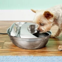 Pioneer Pet Stainless Steel Dog & Cat Fountain Raindrop Design 11 Pioneer Pet Stainless Steel Dog & Cat Fountain Raindrop Design -Pet Dog Supply Store 64088 PT2. AC SS1800 V1630554739