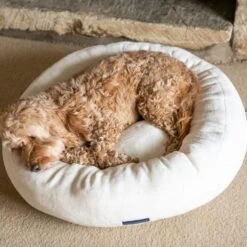 HUGO & HUDSON Donut Dog Bed 16 HUGO & HUDSON Donut Dog Bed -Pet Dog Supply Store 643214 PT5. AC SS1800 V1663340573
