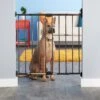 MyPet Windsor Walk Thru Swing Gate For Dogs & Cats 1 MyPet Windsor Walk Thru Swing Gate For Dogs & Cats -Pet Dog Supply Store 64598 MAIN. AC SS1800 V1569012461
