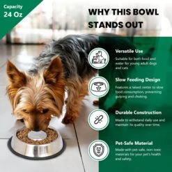 Iconic Pet Slow Feed Stainless Steel Dog & Cat Bowl, 2 Count 11 Iconic Pet Slow Feed Stainless Steel Dog & Cat Bowl, 2 Count -Pet Dog Supply Store 652158 PT3. AC SS1800 V1663880906