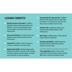 LickiMat Classic Buddy Slow Feeder Dog Lick Mat, Green -Pet Dog Supply Store 654606 PT8. AC SS1800 V1668457363