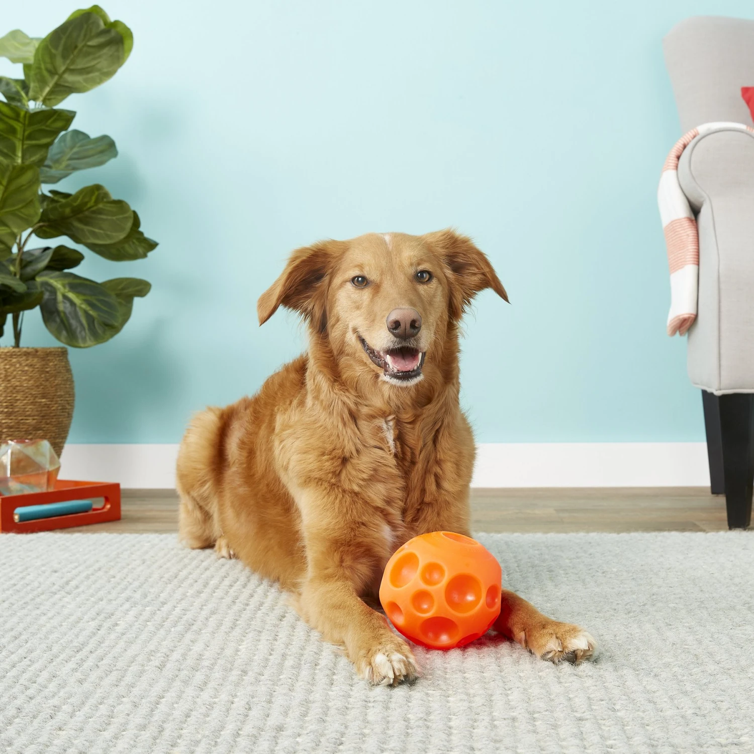 Omega Paw Tricky Treat Ball Dog Toy 6 Omega Paw Tricky Treat Ball Dog Toy - Image 4