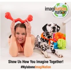 Nylabone Creative Play Eggi Dog Treat Toy, Blue, Large 18 Nylabone Creative Play Eggi Dog Treat Toy, Blue, Large -Pet Dog Supply Store 665686 PT7. AC SS1800 V1679080654