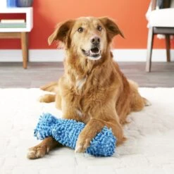 Multipet Loofa Floppy Water Bottle Buddies Squeaky Plush Dog Toy, Color Varies 12 Multipet Loofa Floppy Water Bottle Buddies Squeaky Plush Dog Toy, Color Varies -Pet Dog Supply Store 68079 PT2. AC SS1800 V1530544374