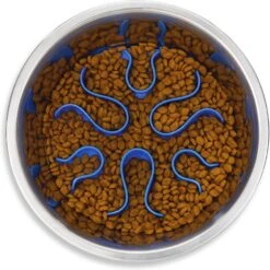 Outward Hound Stainless Steel Fun Slow Feeder Dog Bowl